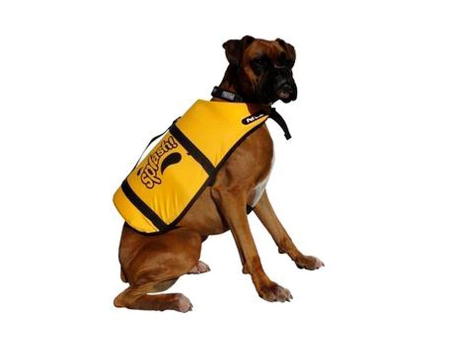 Yellow floatation lifejacket worn by a dog