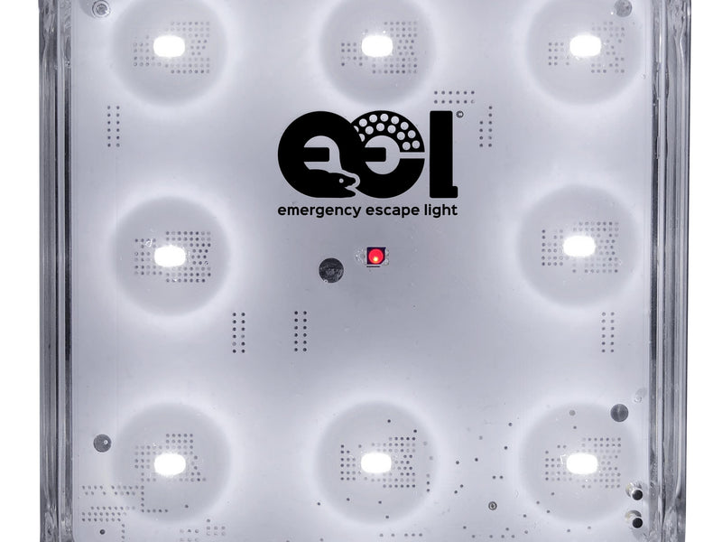 Emergency Escape Light