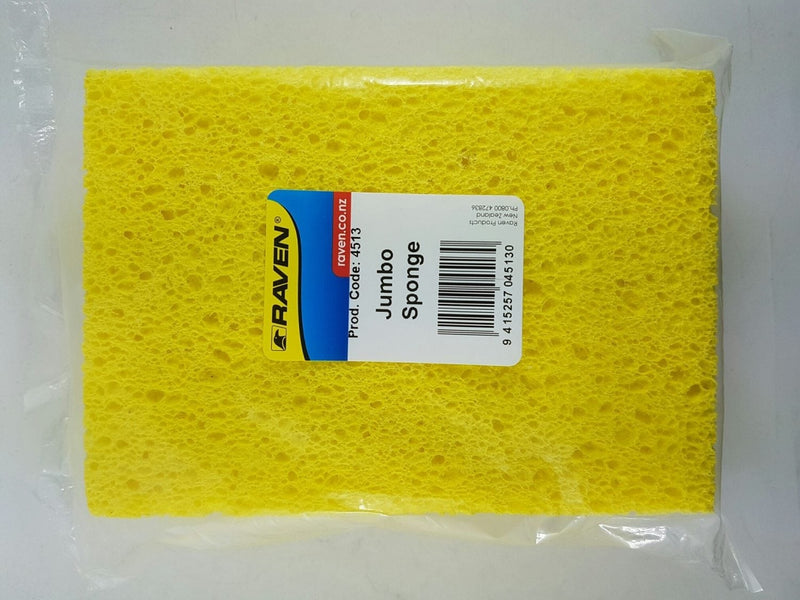 X-Large Sponge