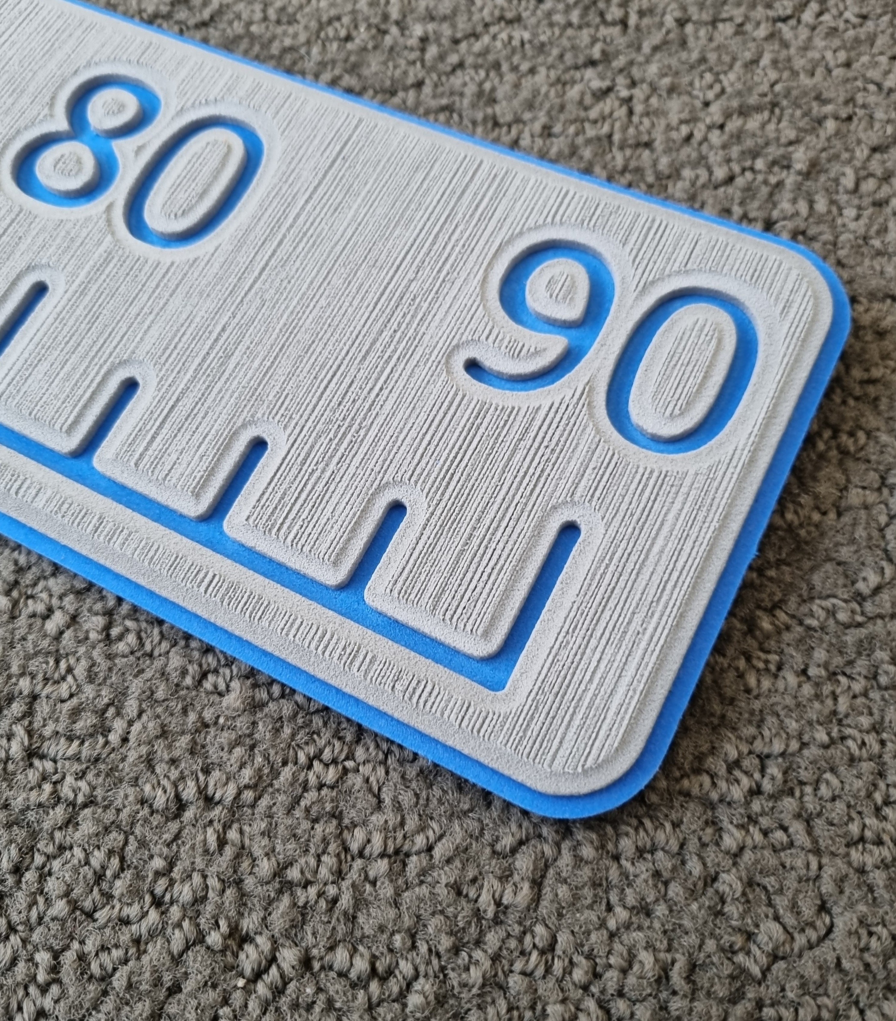 Boat Mount Fish Ruler – Boat NZ