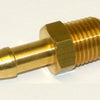 Brass Hosetail